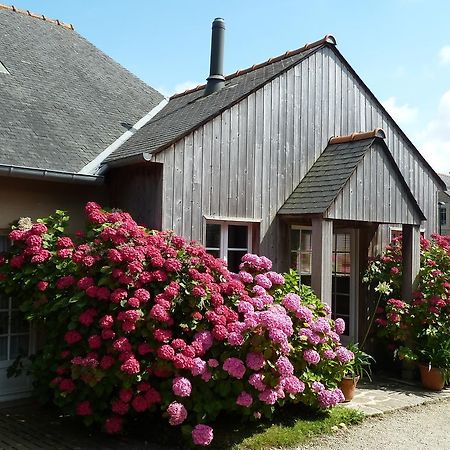 Bed and Breakfast Bienvenue A La Ville Es Gris Cancale Exterior foto